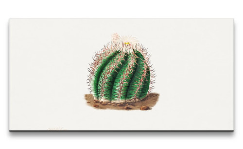 120x60cm remaster illustration - remaster,