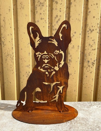 Hund französische bulldogge - französische,