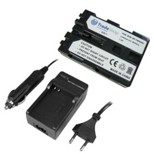 Set: Akku 2000mAh + Ladegerät