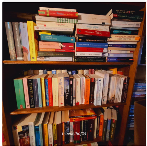 Romane bücher paket - 40,