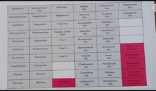 Bicom KTT Testsatz Viren/Pilze