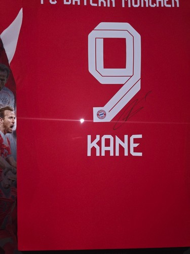 Harry kane trikotrahmen - kane,