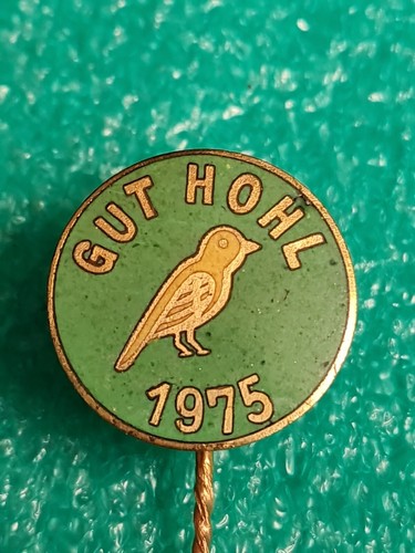 Alte anstecknadel gut - alte,