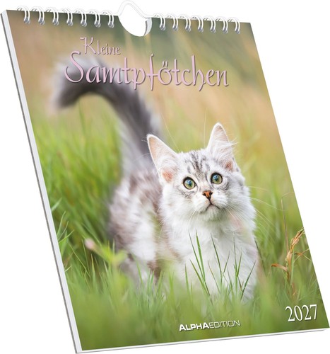 Kleine samtpfötchen 2027 - samtpfötchen,