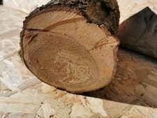 Drechselholz Bastelholz Edelholz Apfel Kirsche Eiche Mirabelle