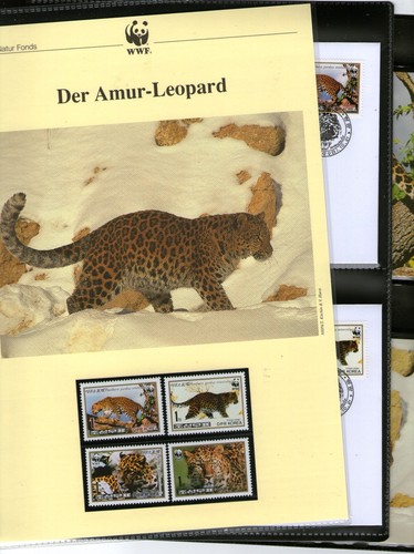 Wwf 1998 korea der - korea, n...