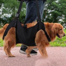 Hunde tragehilfe gehhilfe - , xl