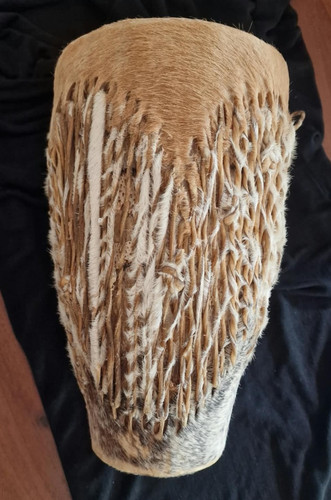 Afrikanische engoma - afrikanische,