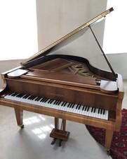 Bechstein Konzertflügel sehr wenig gespielter Zustand, nussbaum satiniert