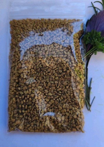 Bockshornkleesamen ganz - g,
