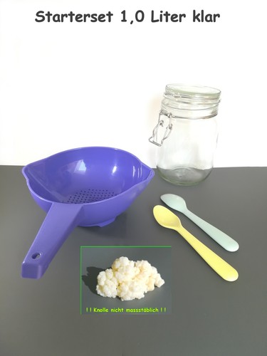 Milch kefir pilz starter - kefir,
