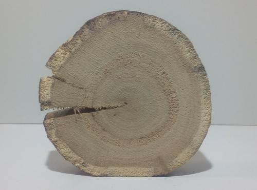 Baumscheibe holzscheibe - baumscheibe,,