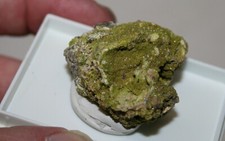 Rarität Pyromorphit xx , Rotenbach bei Todtnau , Schwarzwald Mineralien