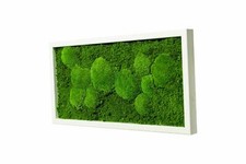 Moosbild Wandbild echtes Moos Fifty Fifty Design Geschenkideen Oster Dekoration