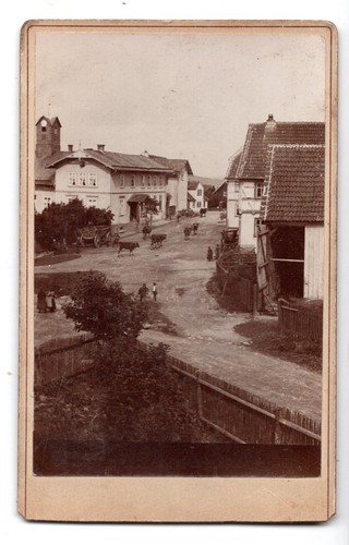 Cdv foto ortsansicht rinder - foto,