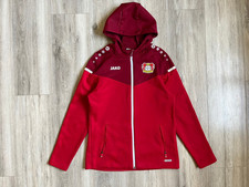 Bayer Leverkusen Fußball