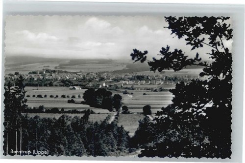 Barntrup - ,