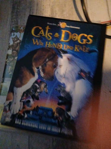 Cats dogs 1 - dogs, 1-3