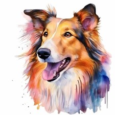 Designer Aufkleber / Sticker Decal bunt -  Hund Collie Porträt 01