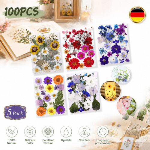 Getrocknete blumen 100 stück - getrocknete,