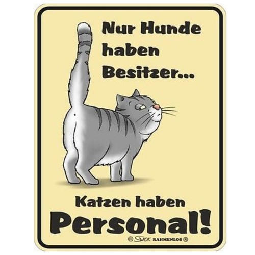 Blechschild katzen haben - katzen,