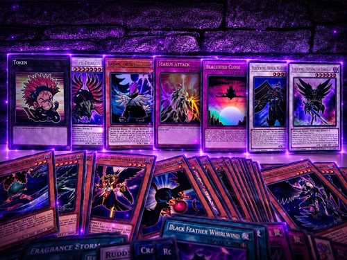 Schwarzflügel deck - schwarzflügel,