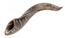 NaDeco Schafhorn poliert