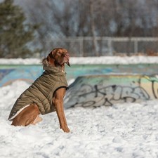 Hundemantel wintermantel warm - wintermantel,