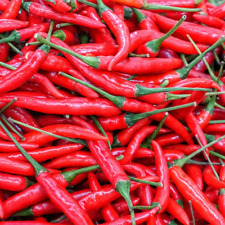 50 Samen 🌶️🌶️