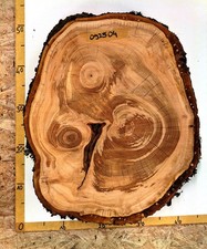 Baumscheiben, Plangefräst, Kirschbaum , Bohle, Deko, Schwartenbrett, Rinde,