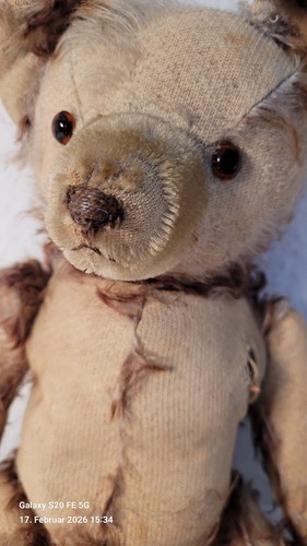 Teddy alt vintage ca - vintage,,