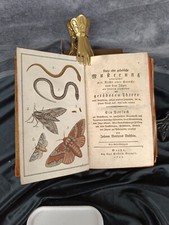 Bechstein  1792. Kurze aber gründliche Musterung aller .....getödeten Tiere