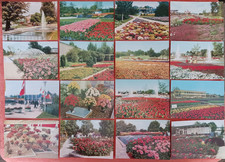 112 AK DDR Erfurt IGA Heute