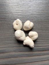 5 natürliche weiße Magnesit Kristall Nuggets/Trommelsteine - Chakra - Reiki - Basteln