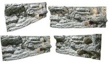 Back to Nature Rückwand Reef