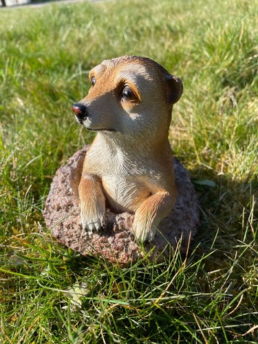 Erdmännchen garten skulptur - erdmännchen,