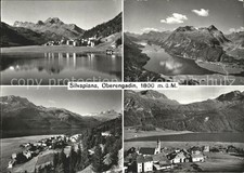 Silvaplana GR Oberengadin