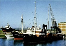 Ak Deutsches Schifffahrtsmuseum Bremerhaven, Bergungsschlepper... - 4762337