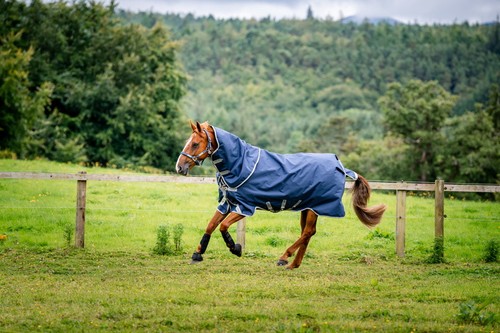 Horseware amigo bravo plus - bravo,