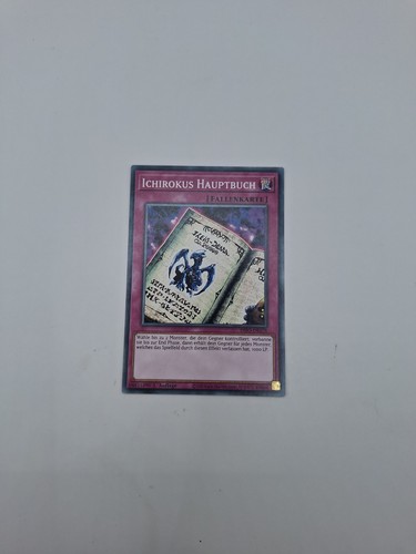 Ichirokus hauptbuch - ichirokus,