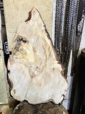 Baumscheibe, Holzscheibe