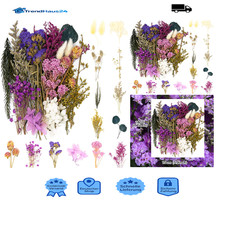 Natürliche getrocknete blumen - natürliche,