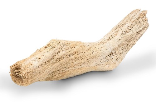 Nadeco kaktuswurzel 70cm - nadeco, |