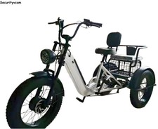 20 Zoll elektrisches Schnee Dreirad 500W 48V Ladung/bemannter E-Trike mit Rücksi