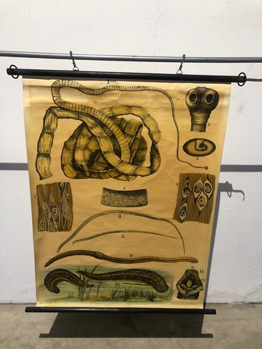 Schulkarte lehrtafel lehrkarte - schulkarte,