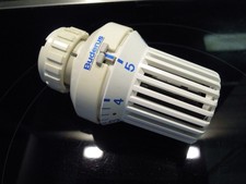 1 Stück Buderus Thermostatkopf ⌀23mm Klemmanschluss Heizung Regler Ventil