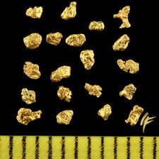Top geschenk 20 echte - !,