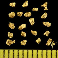 TOP-Geschenk ! 20 Echte