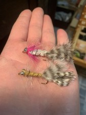 2  St. MAGNUS MEERFORELLE