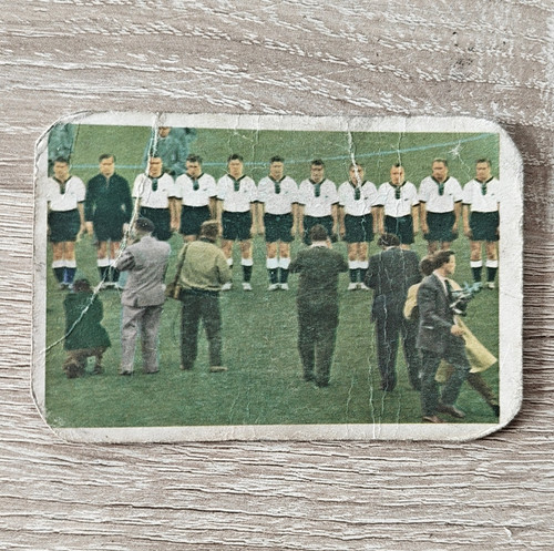 Verlag wanne eickel - ws-verlag, sport